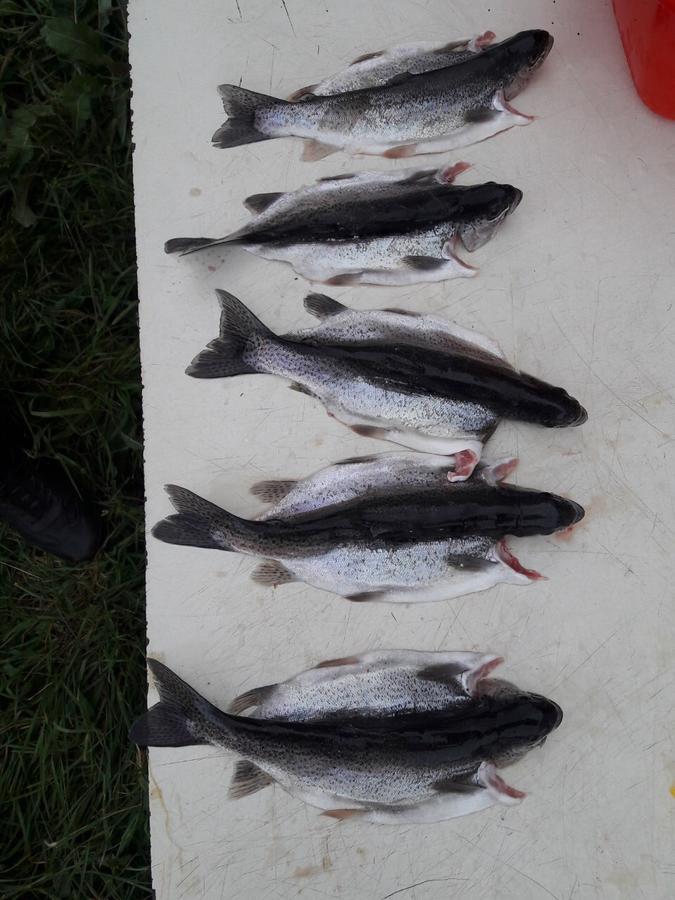 Fish Hotel Akhalkalaki Eksteriør bilde